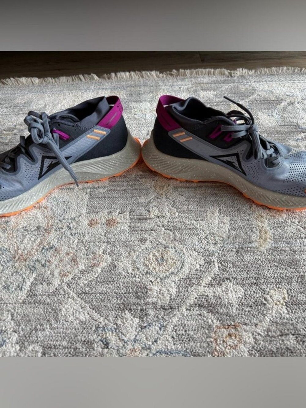 Nike Pegasus Trail 2 in Thunder